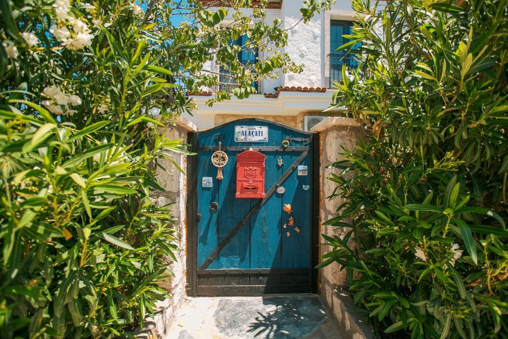 Albatross Otel Bahçesi